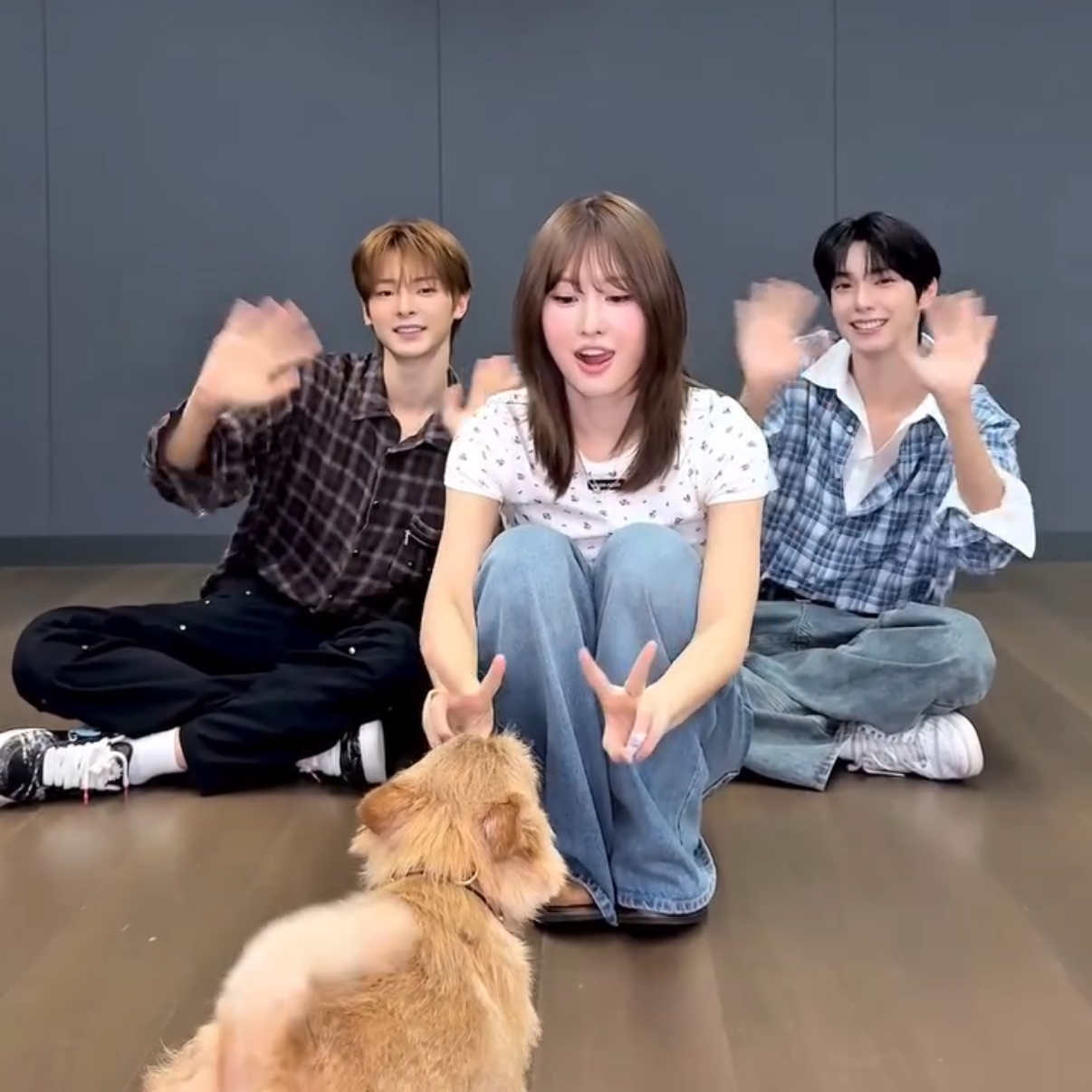 모모 (TWICE) 팬이 찍은 순간