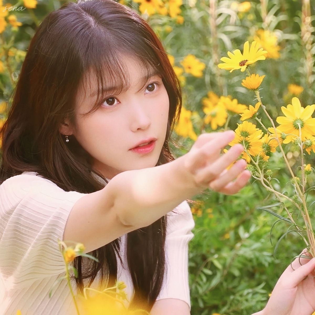 아이유 팬이 찍은 순간