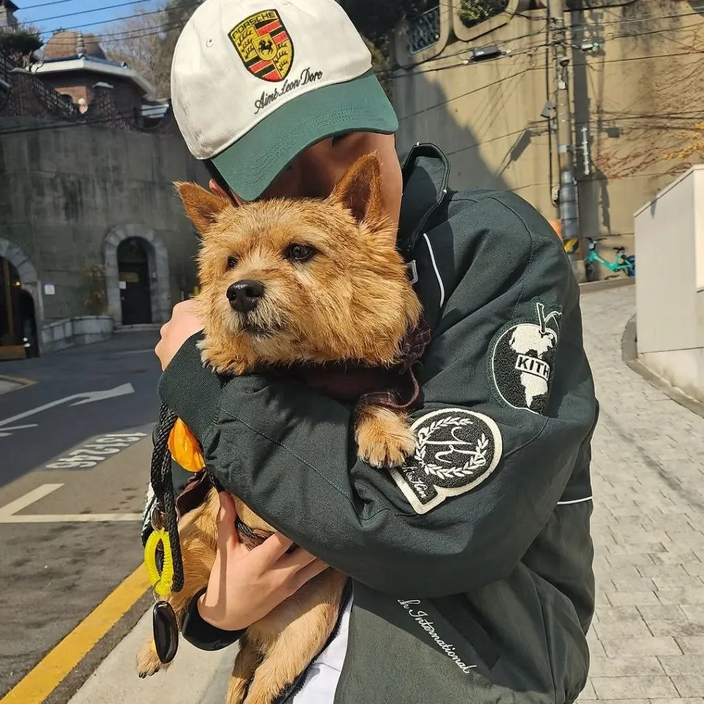 SEVENTEENの舞台裏ショット