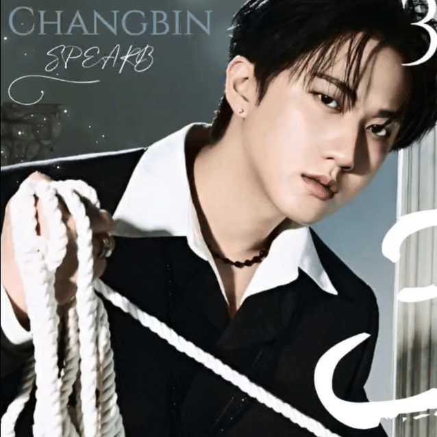 チャンビン (Stray Kids)ファンが撮った瞬間