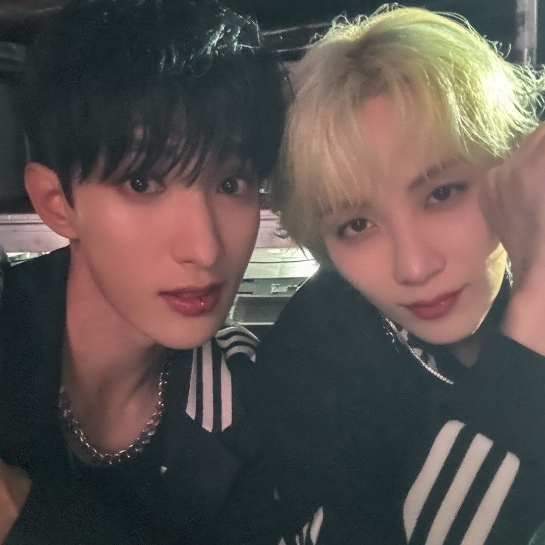 세븐틴의 최신 사진