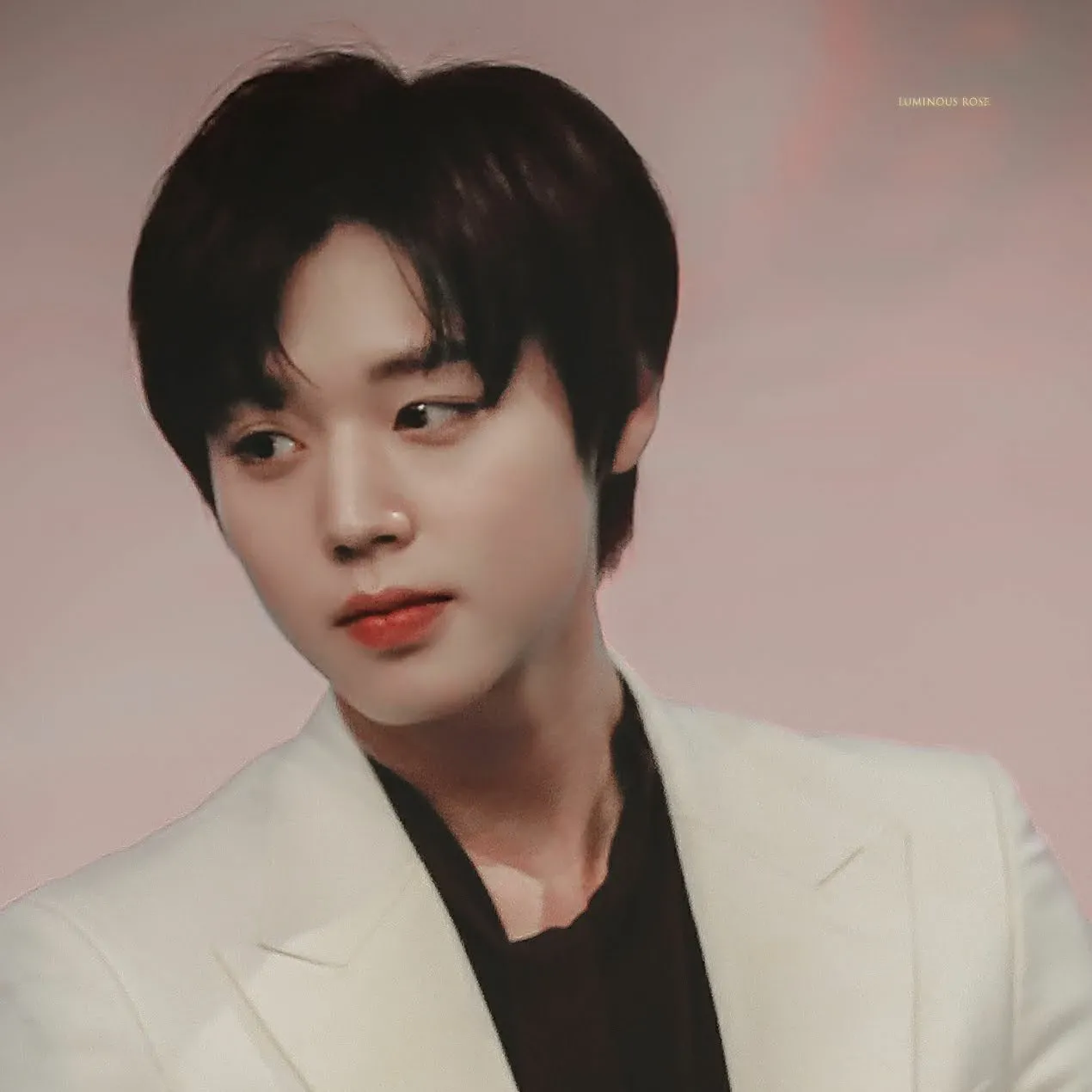 박지훈 팬이 찍은 순간