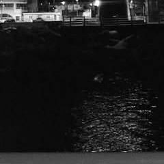 A moment captured by Kim Garam's fan