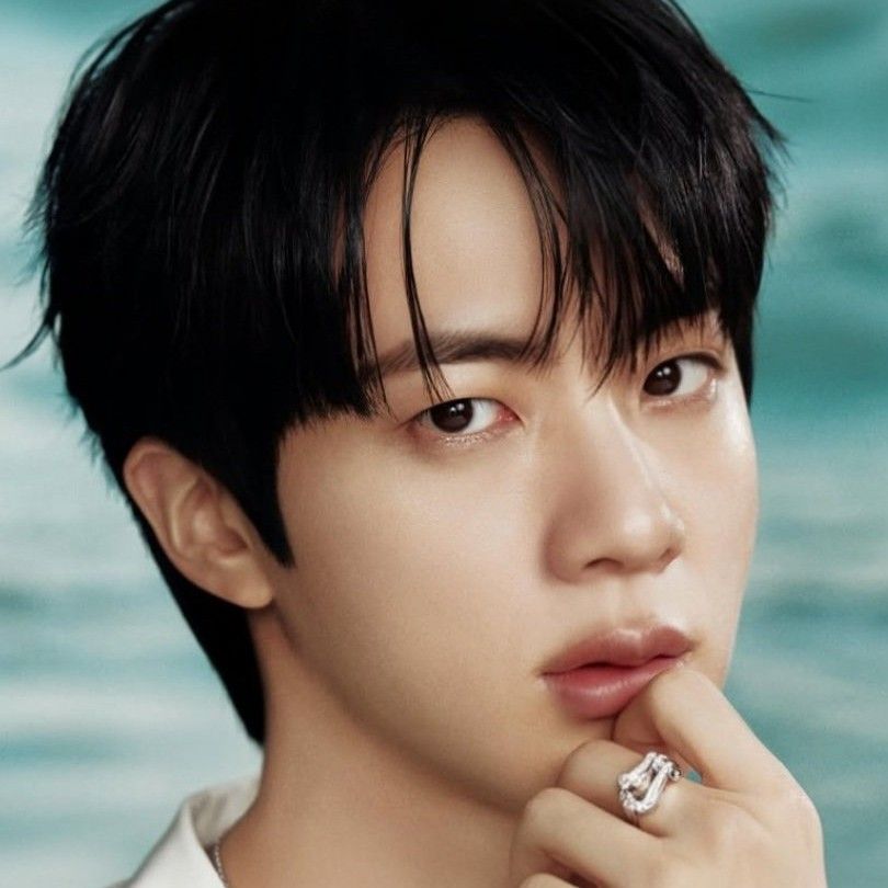 진 (방탄소년단) 팬이 찍은 순간