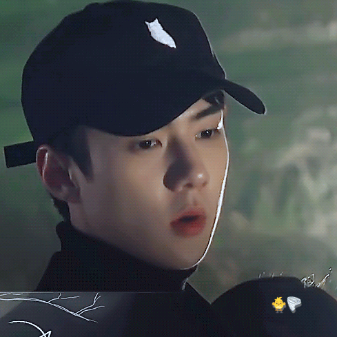 世勳 (EXO)的最新照片