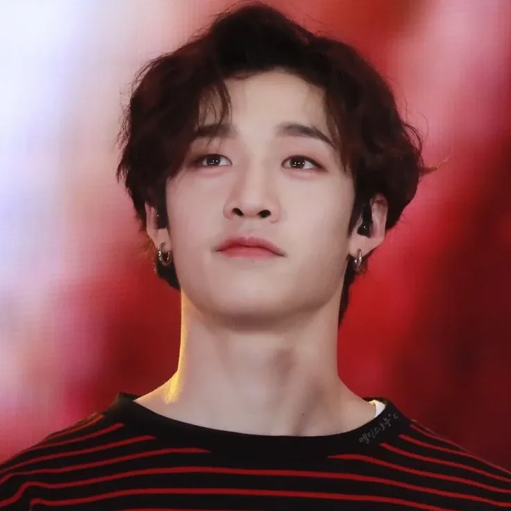 方燦 (Stray Kids)的幕後花絮