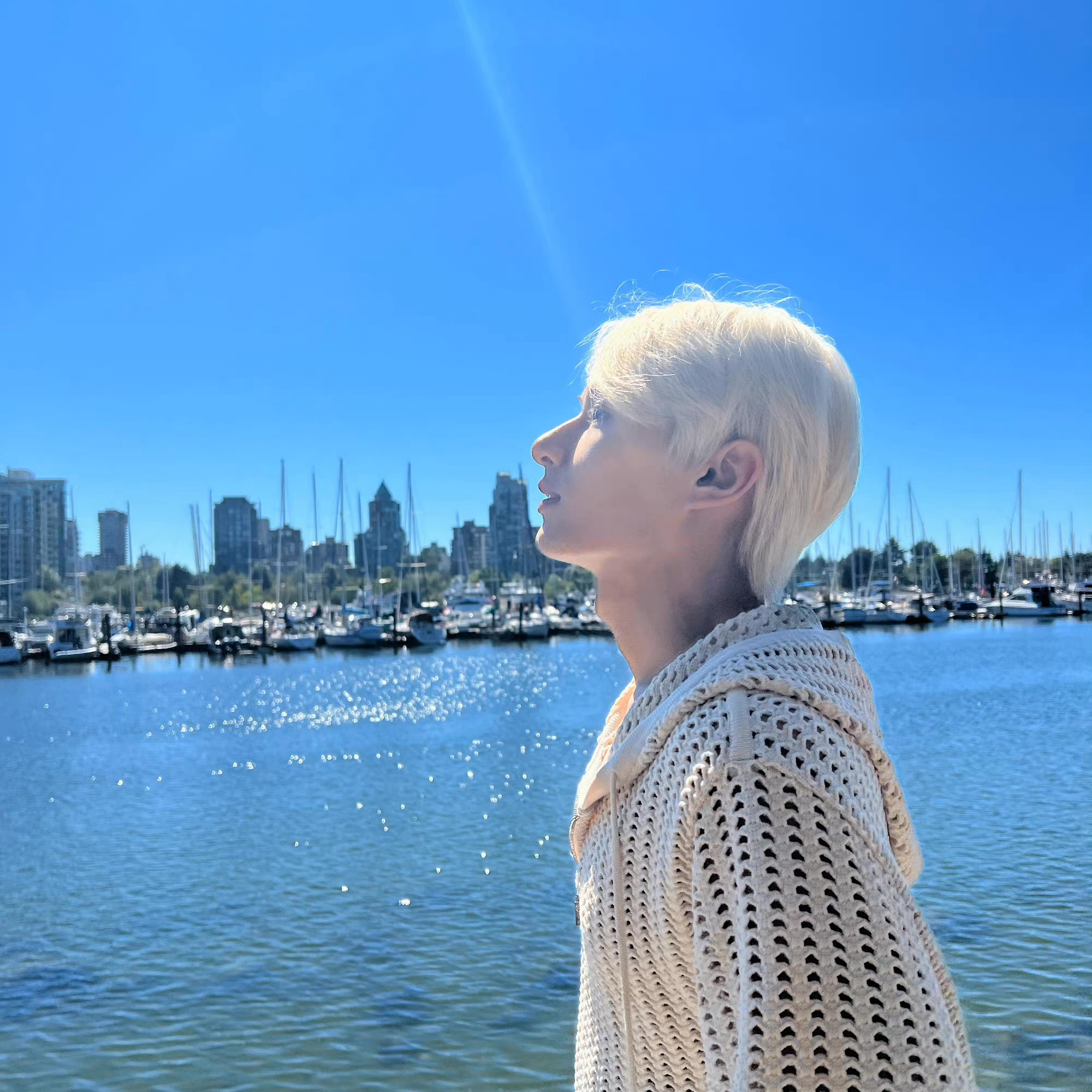 세븐틴 팬이 찍은 순간