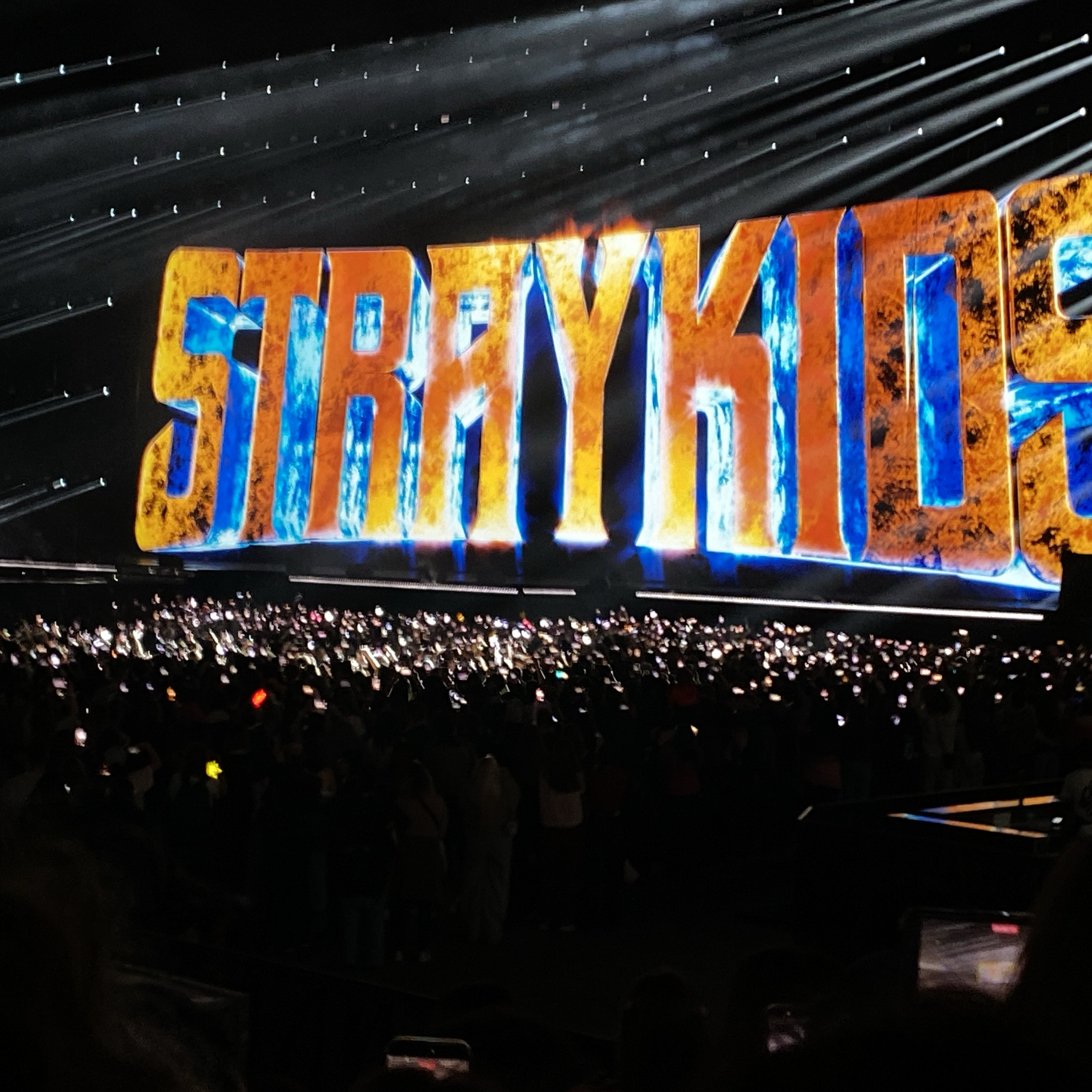 Recent activity shot of Stray Kids