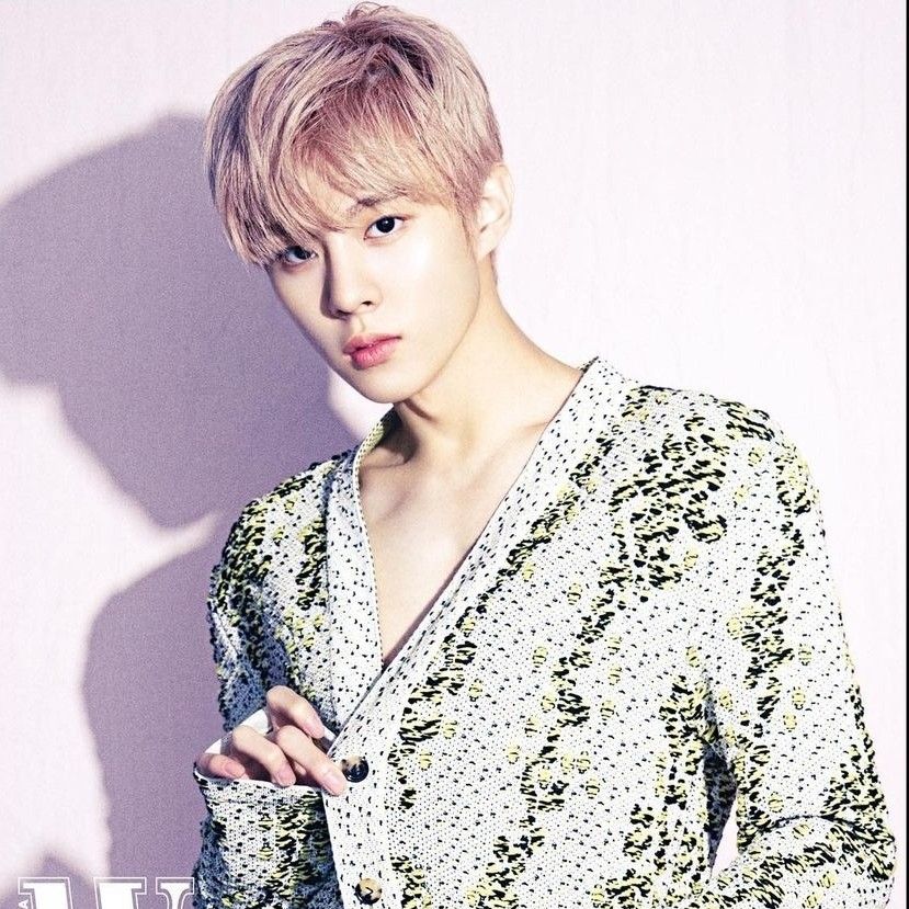 キム・ウソクファンが撮った瞬間