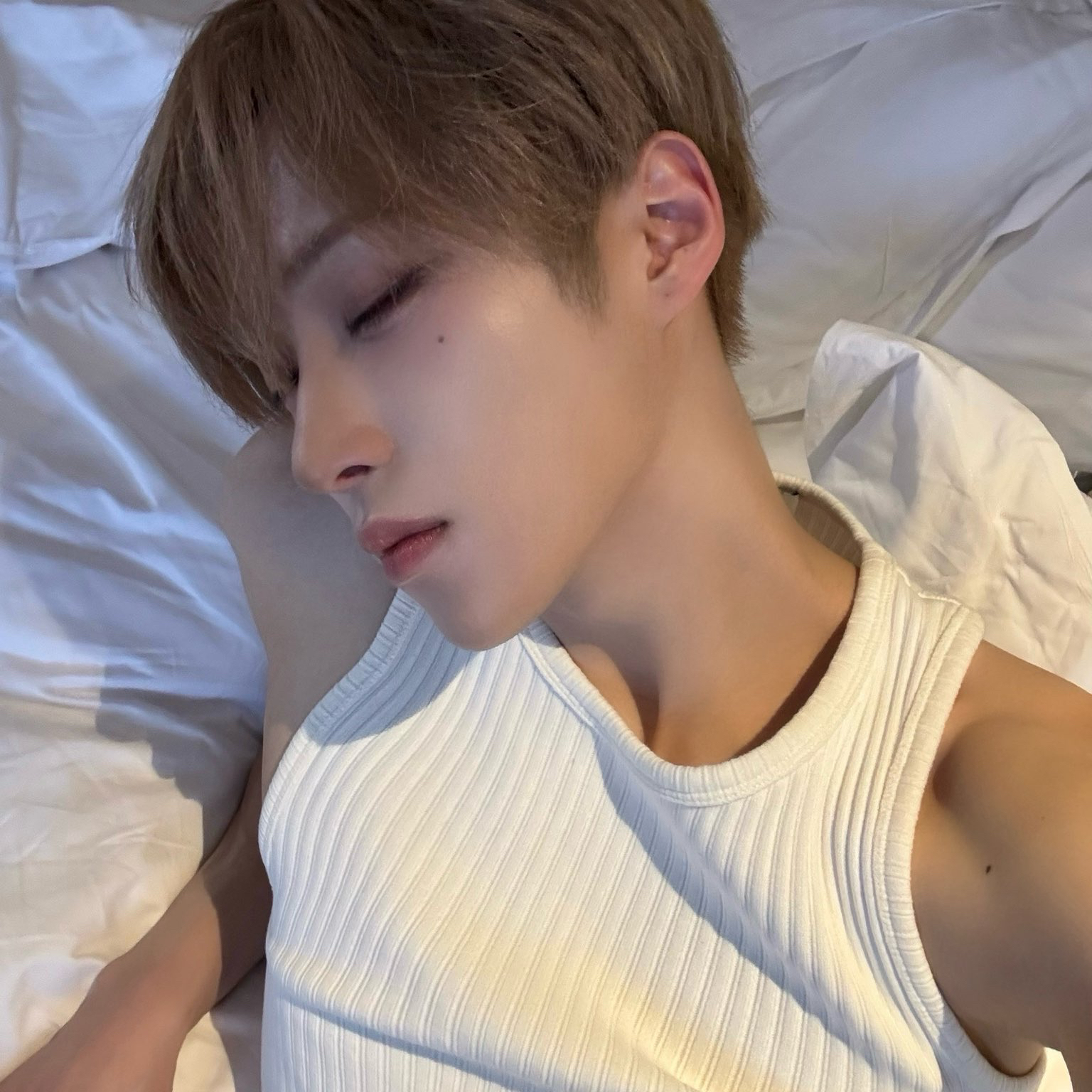 Arno (ALPHA DRIVE ONE)の最新写真