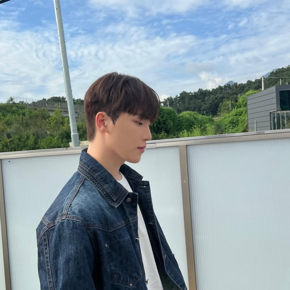 Latest photo of Dino (SEVENTEEN)