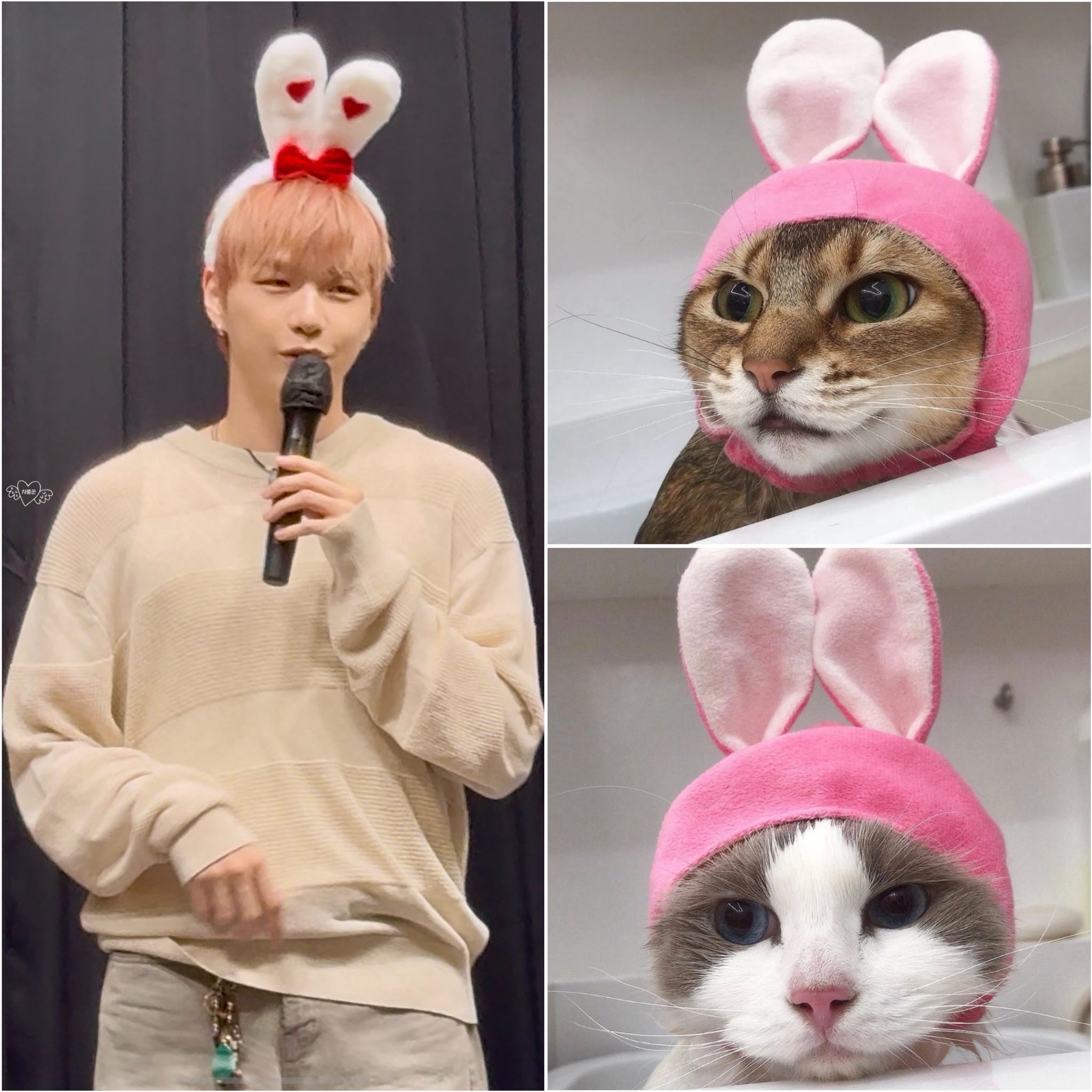 Potret di balik layar Kang Daniel