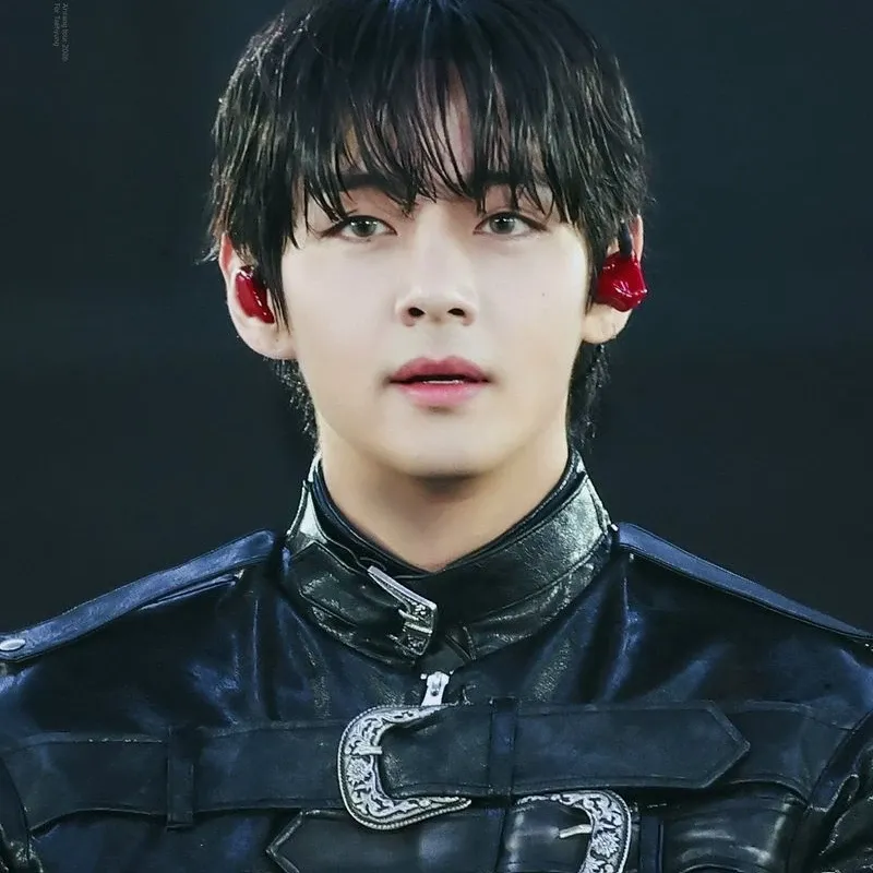 Potret di balik layar V (BTS)