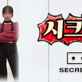SECRET NUMBER 팬이 찍은 순간