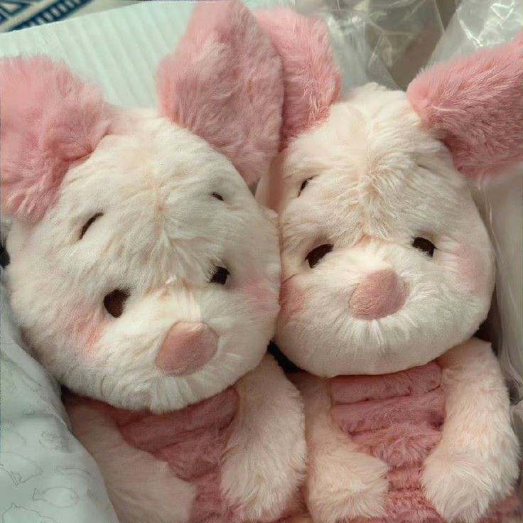 A moment captured by Ricky (ZEROBASEONE)'s fan