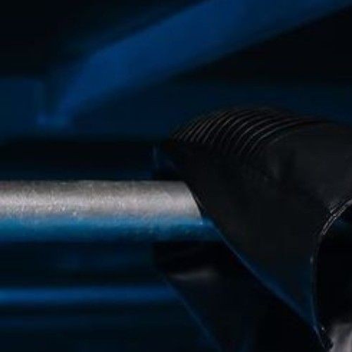 Signature photo of Lego (LYKN) capturing their charm