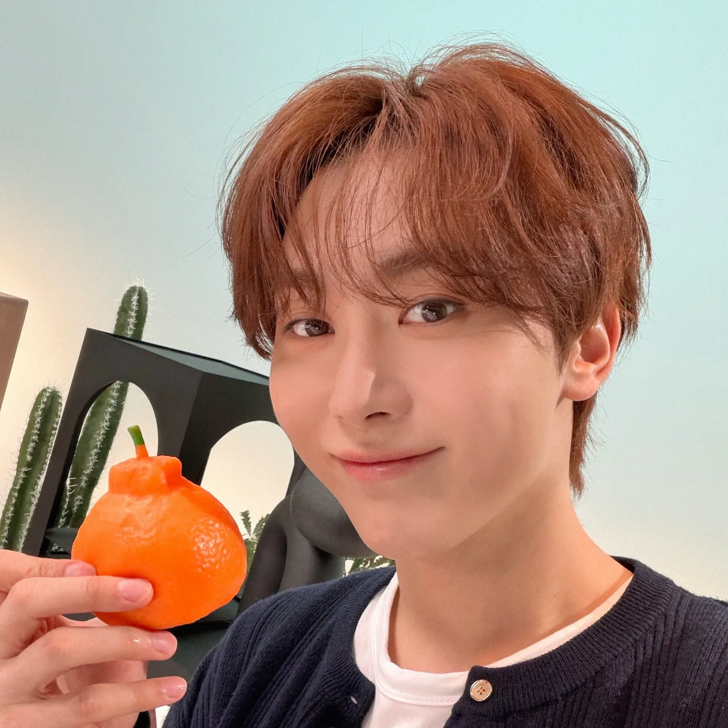 세븐틴의 최신 사진