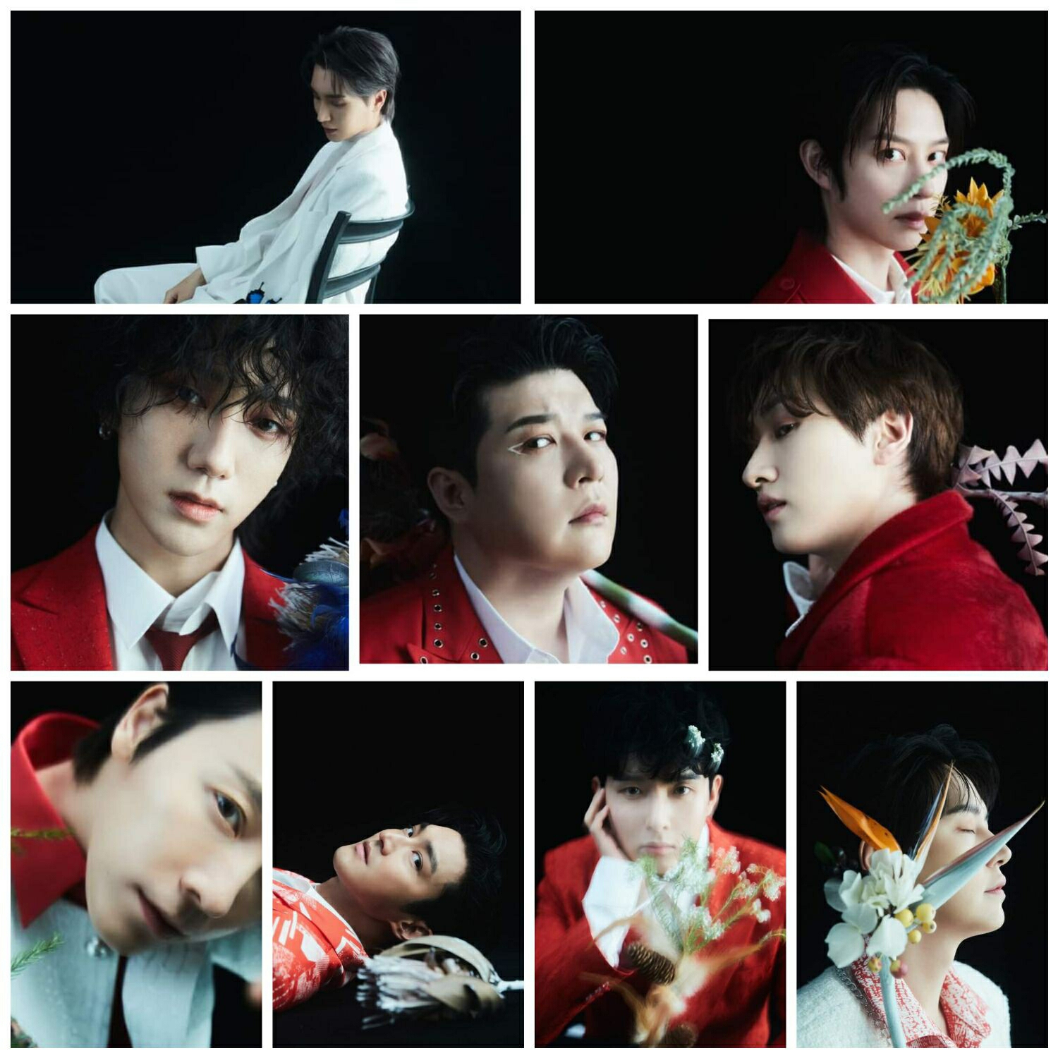 Foto terbaru Super Junior