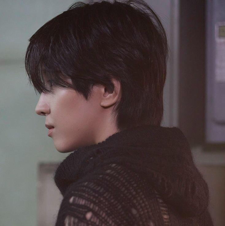 A moment captured by Wonwoo (SEVENTEEN)'s fan