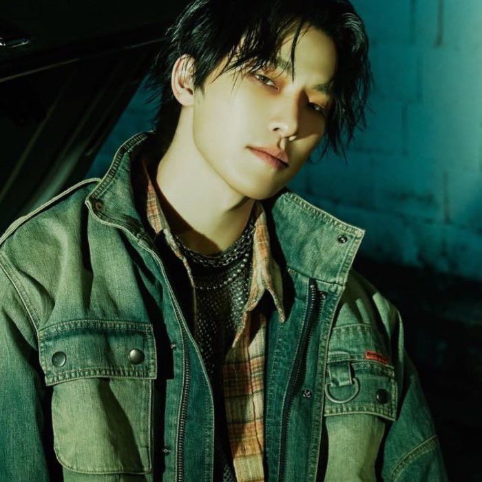 디노 (세븐틴) 팬이 찍은 순간