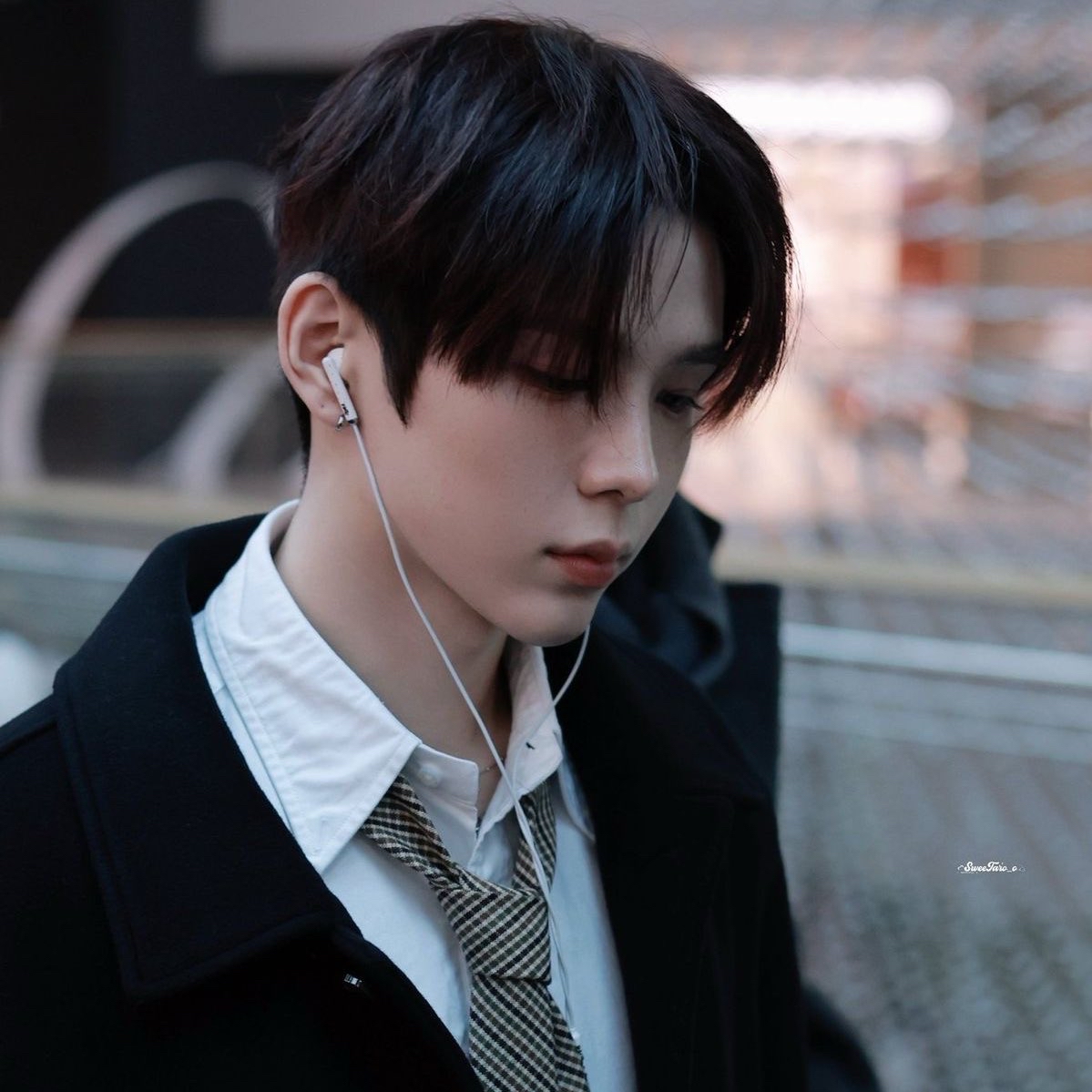 쇼타로 (라이즈)의 비하인드 컷