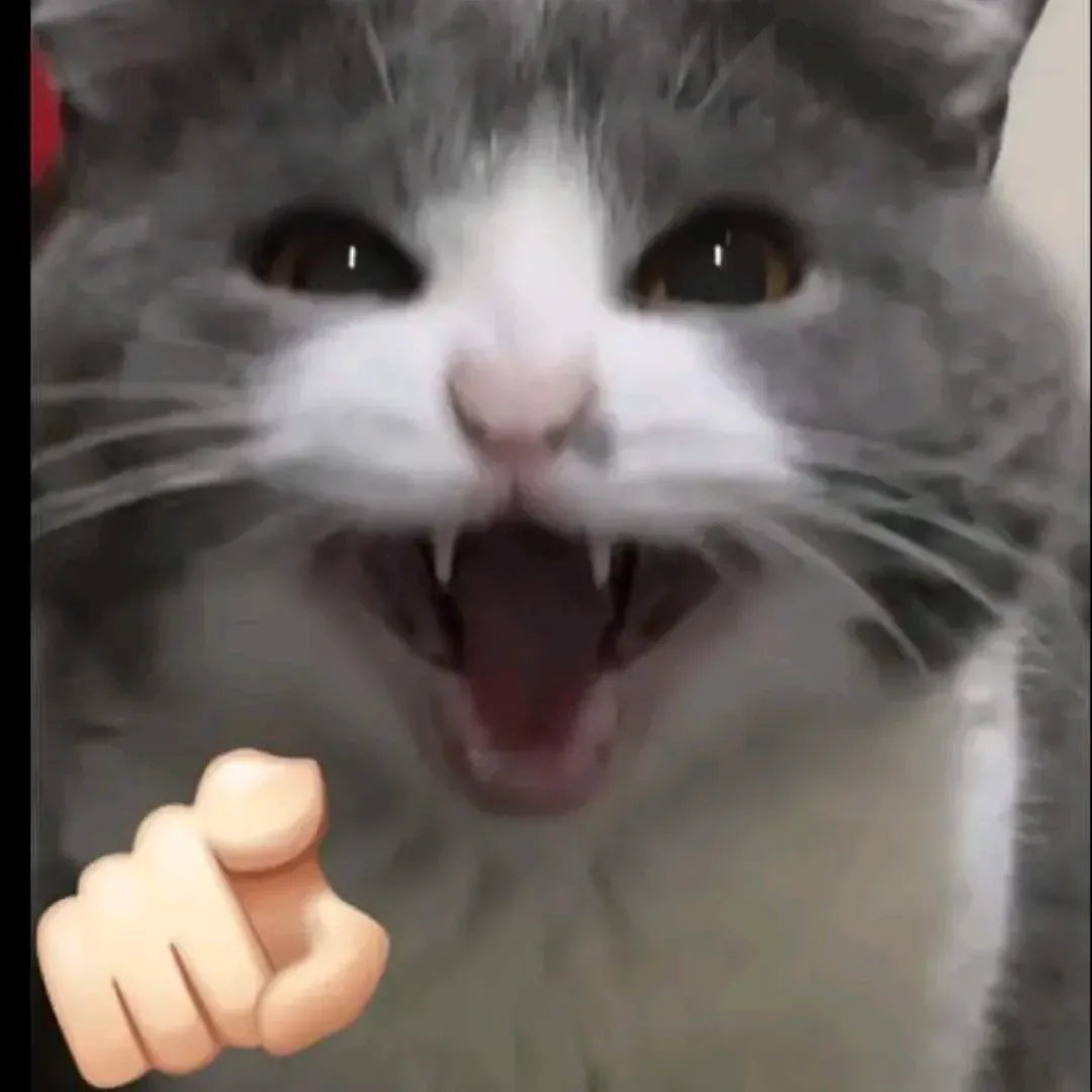 EXO의 최신 사진