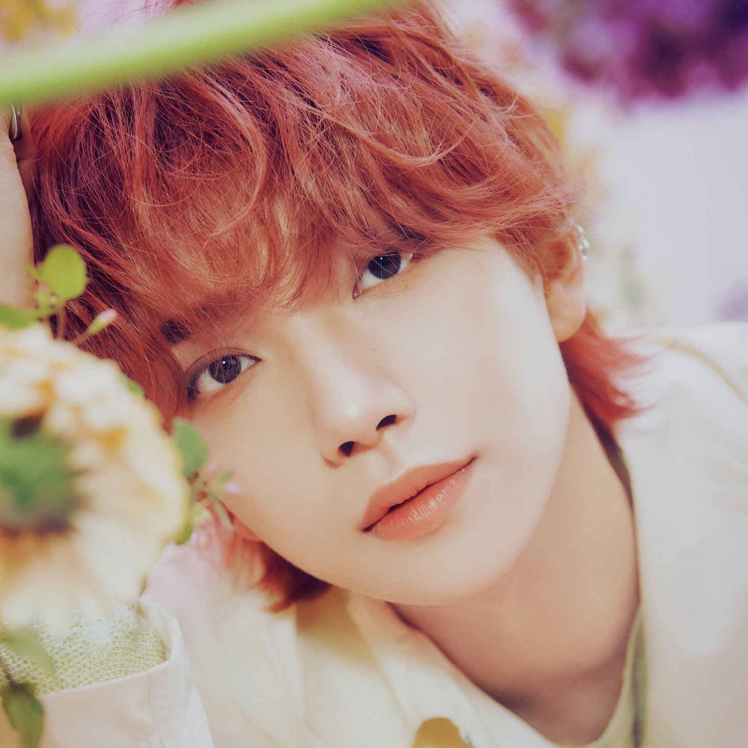 세븐틴 팬이 찍은 순간