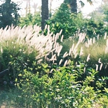 Recent activity shot of Solar (MAMAMOO)