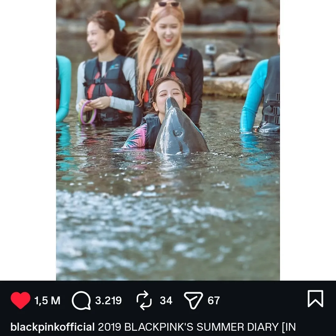 BLACKPINK 팬이 찍은 순간