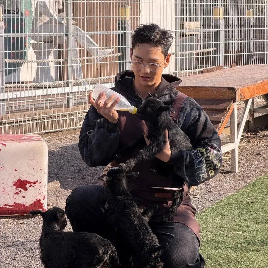 백호의 비하인드 컷