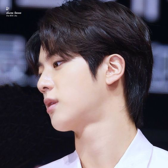 진 (방탄소년단) 팬이 찍은 순간