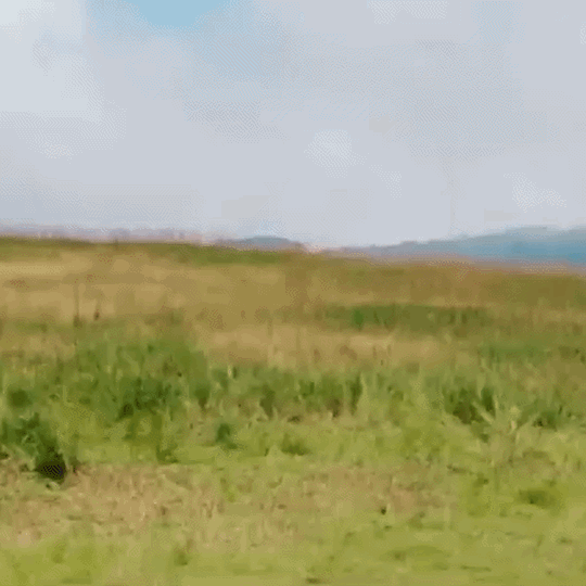 Latest photo of Stray Kids