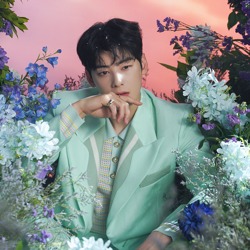 아스트로 팬이 찍은 순간