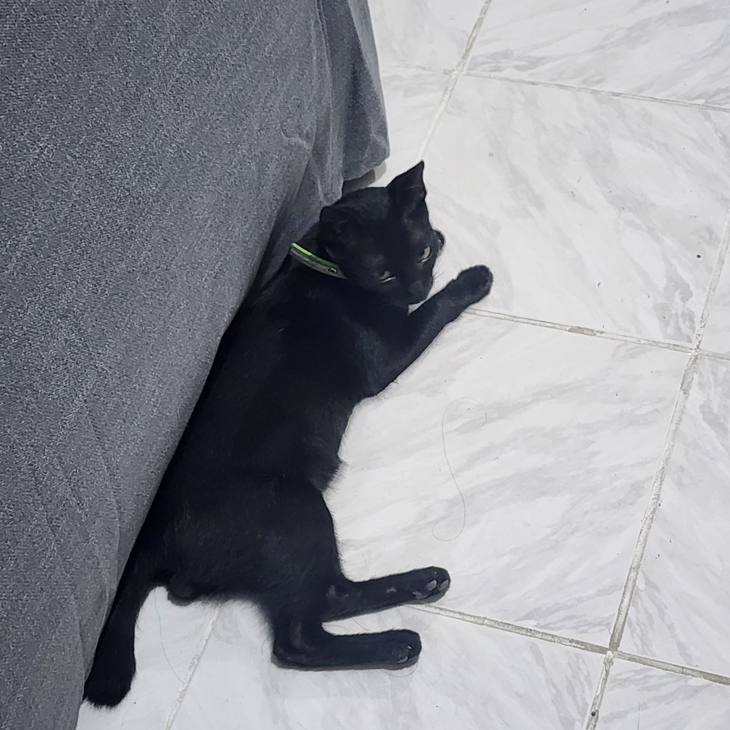 세븐틴의 최신 사진