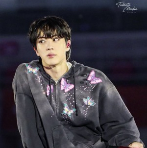 진 (방탄소년단) 팬이 찍은 순간