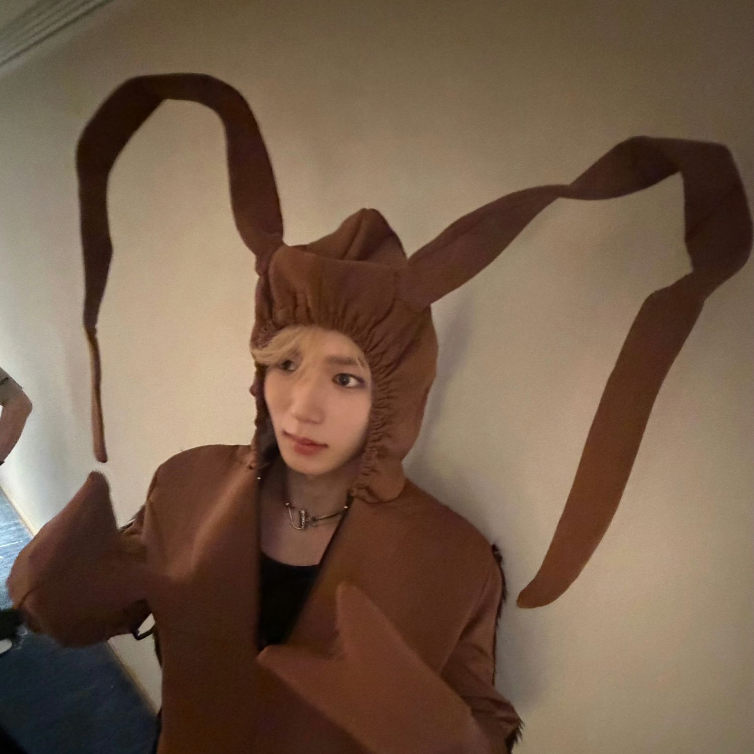 Latest photo of Kim Junseo (ALPHA DRIVE ONE)