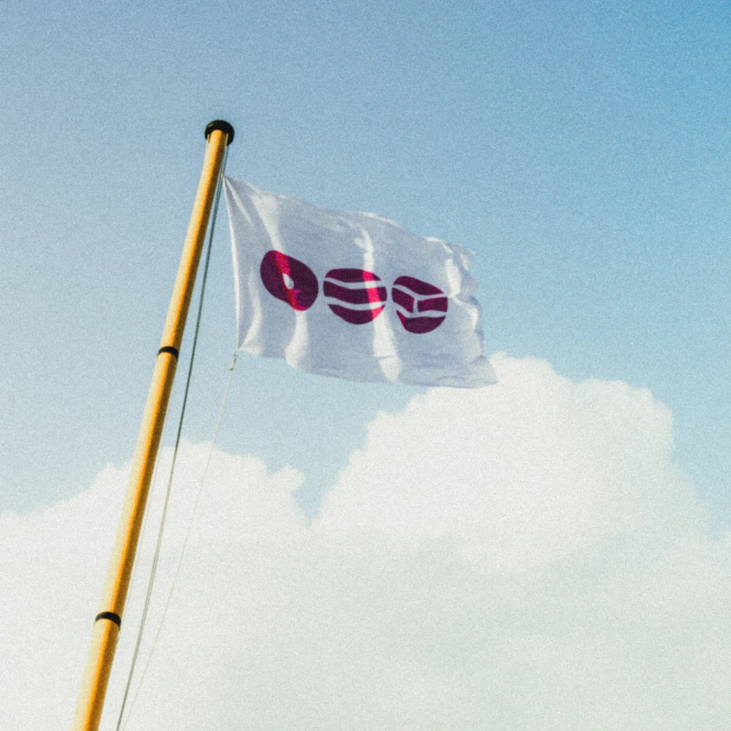 Recent activity shot of BTS