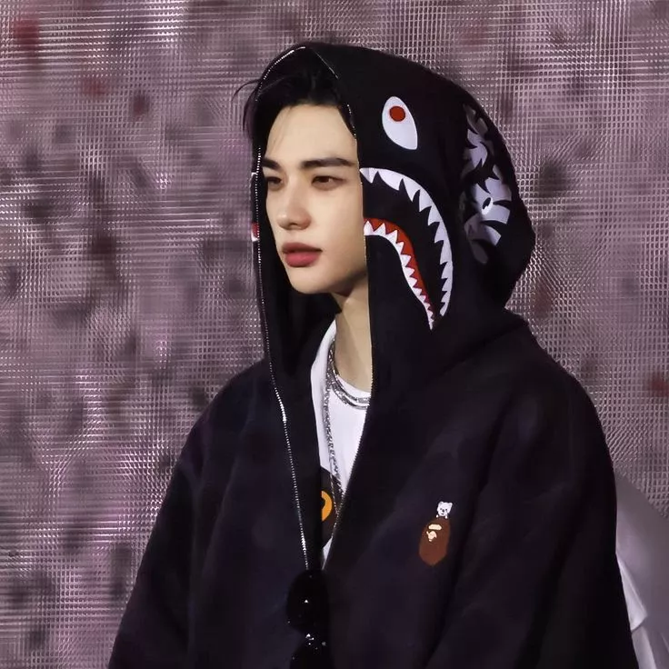 Recent activity shot of Hyunjin (Stray Kids)