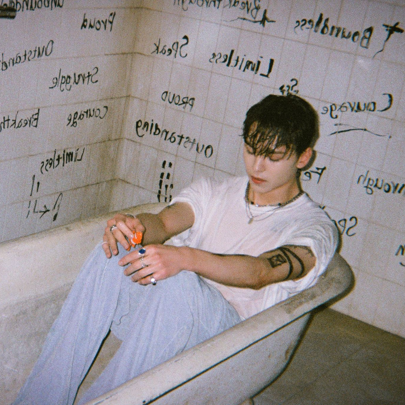 세븐틴 팬이 찍은 순간