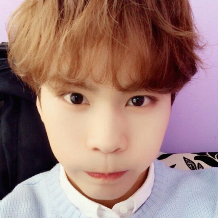 A moment captured by Rocky's fan