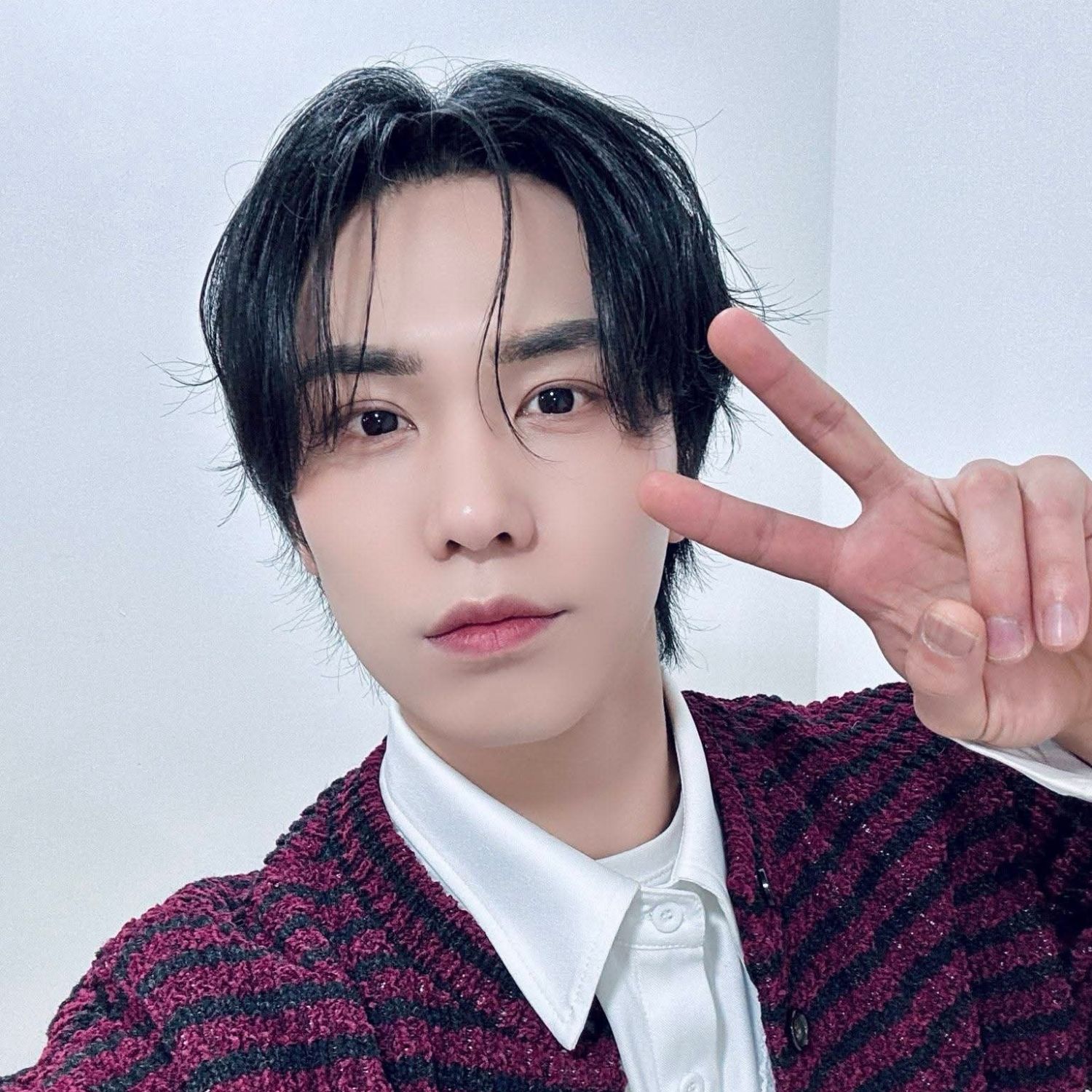 Recent activity shot of Rocky