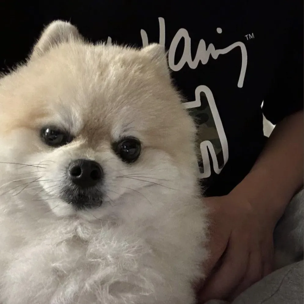 Behind-the-scenes cut of Hanbin (TEMPEST)