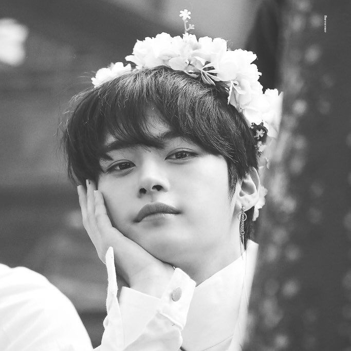 리노 (Stray Kids) 팬이 찍은 순간