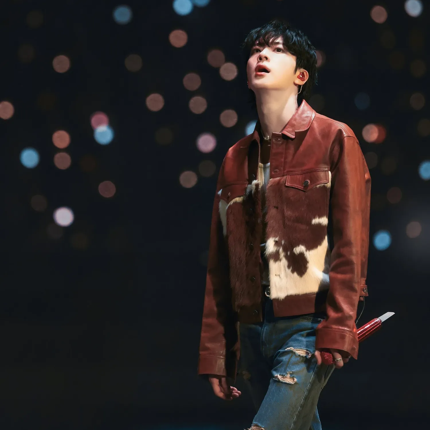 진 (방탄소년단) 팬이 찍은 순간