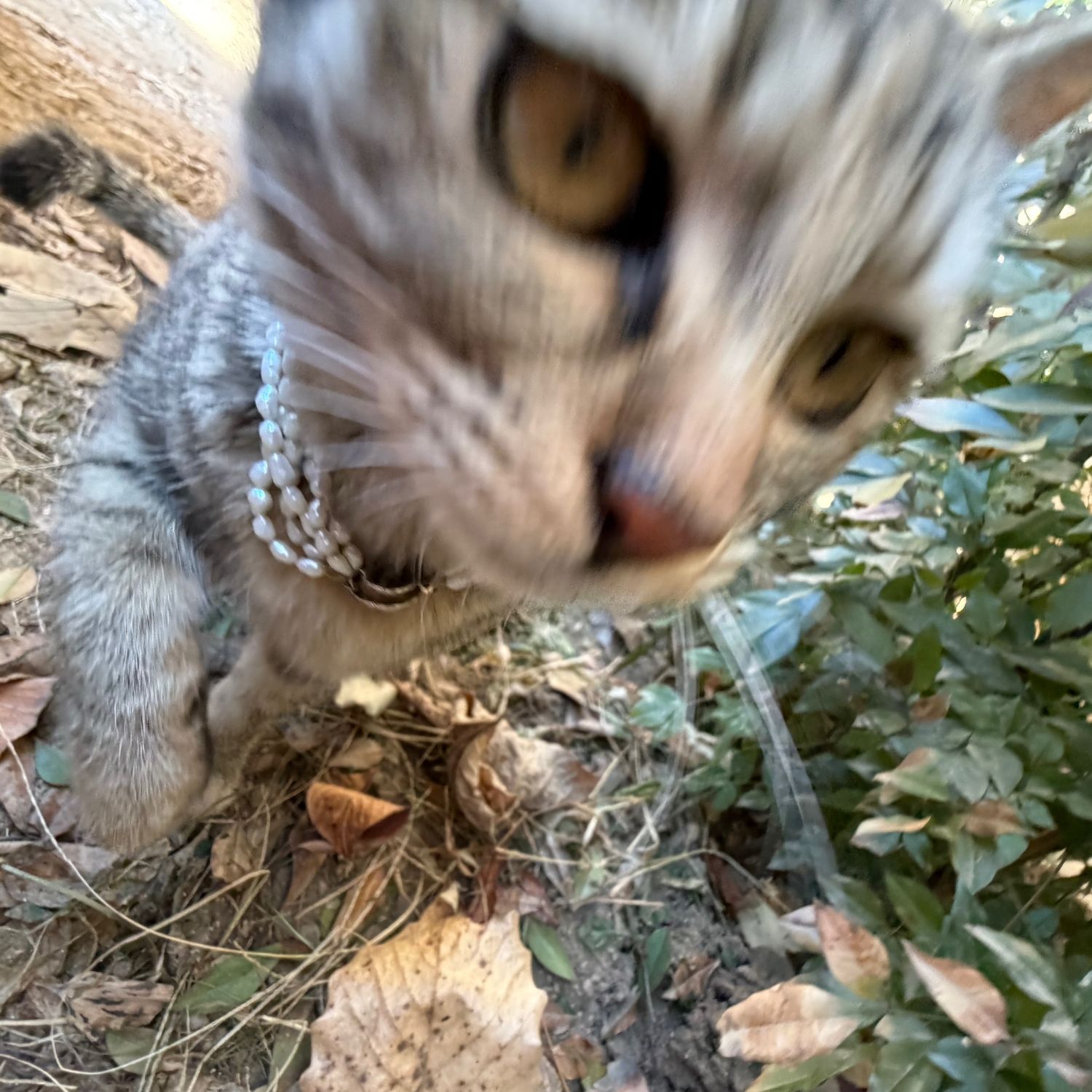 Behind-the-scenes cut of Seonghyeon (CORTIS)