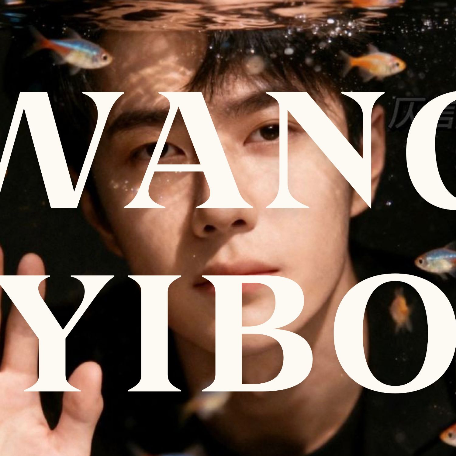 Recent activity shot of Wang Yibo