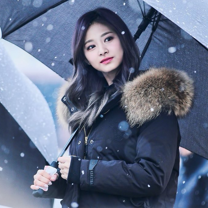 TWICE 최근 활동샷