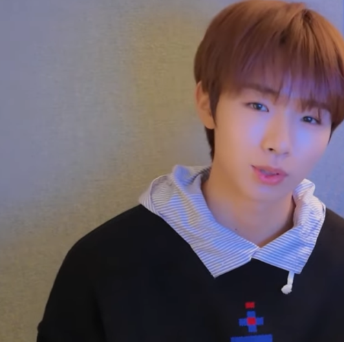 Recent activity shot of Wonjun (WHIB)