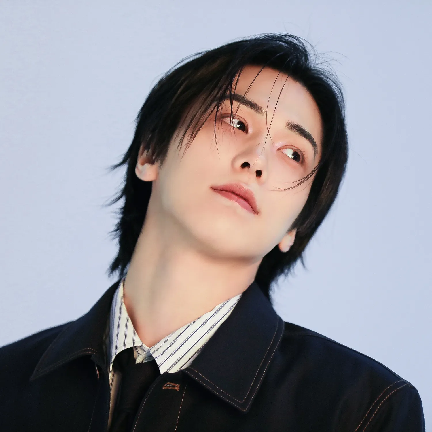 Recent activity shot of Rocky