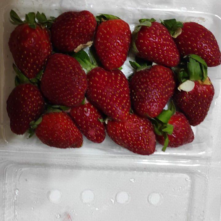 TWICE 팬이 찍은 순간